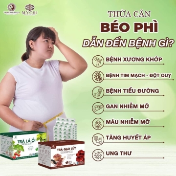 Trà Gạo Lứt MYCHI 120g (H/20 túi)