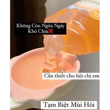 Dung Dịch Vệ Sinh Femfresh Daily Wash 250ML