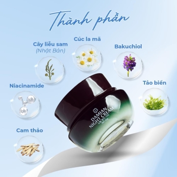 Kem Xóa Nám-Chống Nhăn Da Sâm Đen Ngày/Đêm DAKAMI (33g)