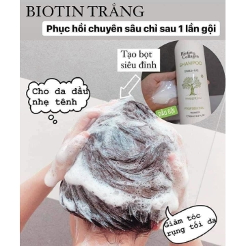 Cặp Dầu Gội - Xả Biotin & Collagen Ý (1000ML)