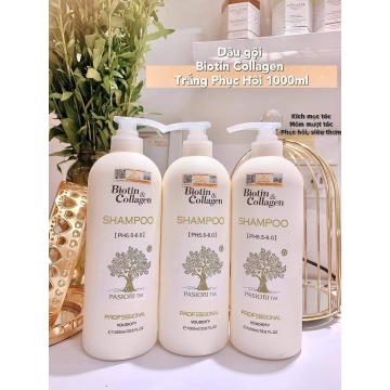 Cặp Dầu Gội - Xả Biotin & Collagen Ý (1000ML)