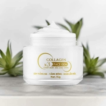 Kem Face Đêm Collagen X3 Sữa Ong Chúa (15g)