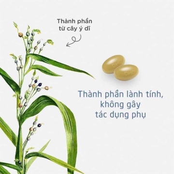 Viên Uống Trắng Da DHC Nhật Bản (20v)
