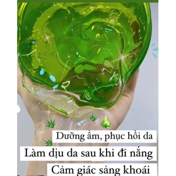 Gel Dưỡng Đa Năng Nha Đam ECOSY 300ML