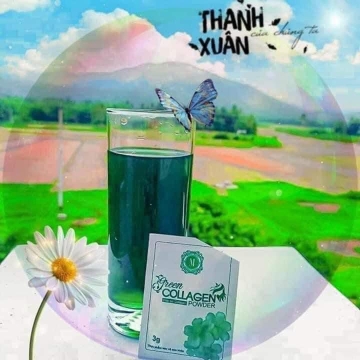 Diệp Lục Collagen MEDISTAR (H/30)