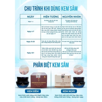 Kem Xóa Nám-Chống Nhăn Da Sâm Đen Ngày/Đêm DAKAMI (33g)
