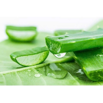 Sữa Rửa Mặt Tẩy Trang ALOE VERA Thorakao (140g)